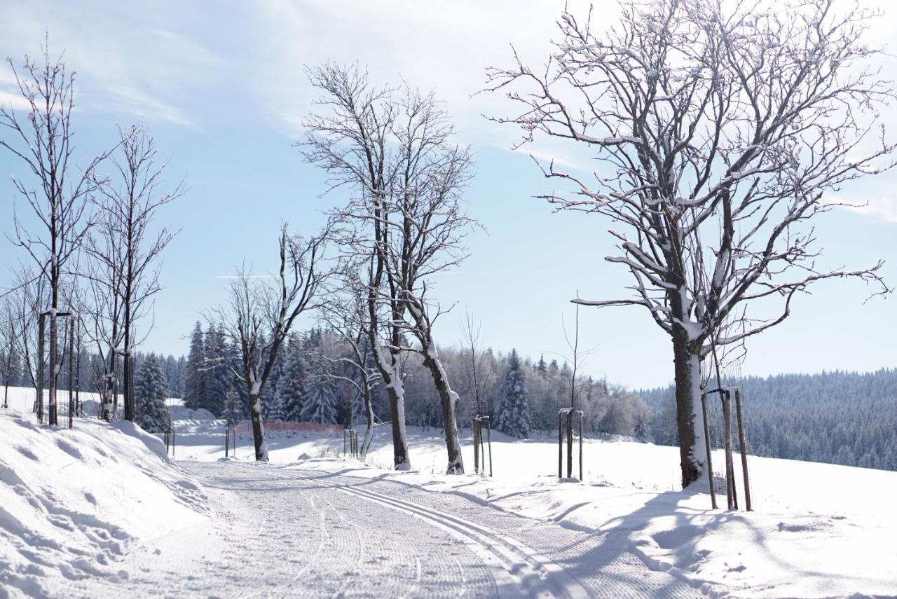 Apartmány U Muzea Horni Blatna Exterior foto
